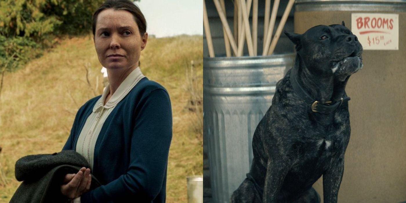 Split image of Bev looking serious and Joe's dog in Midnight Mass