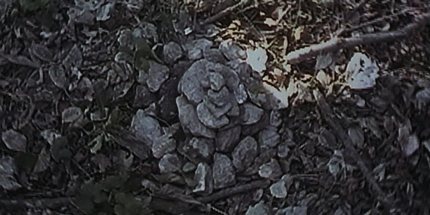 Heather finds three piles of stones outside the tent in The Blair Witch Project.