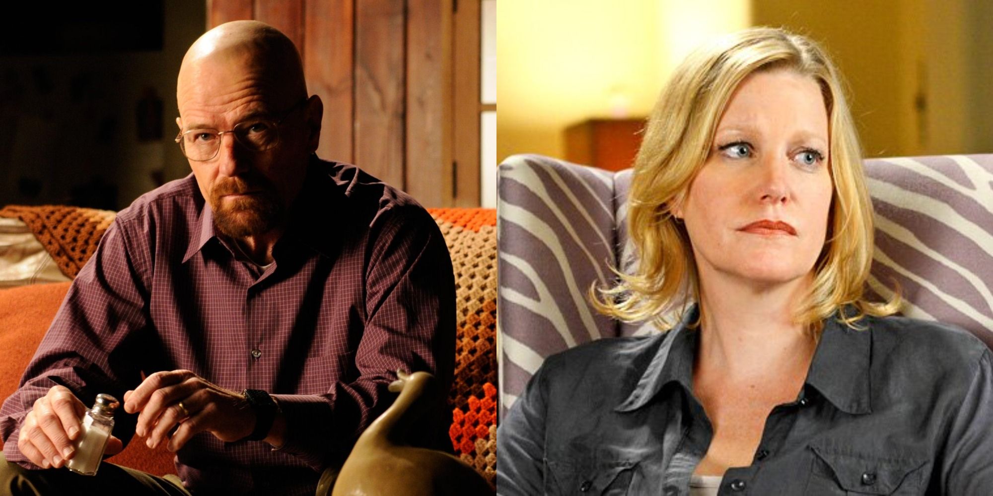 Breaking Bad 9 Season 1 Characters Who Survived To The End