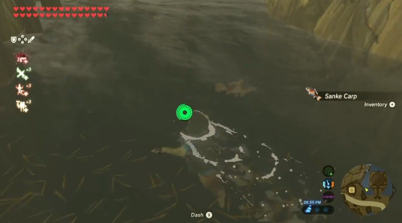 Breath of the Wild Carp