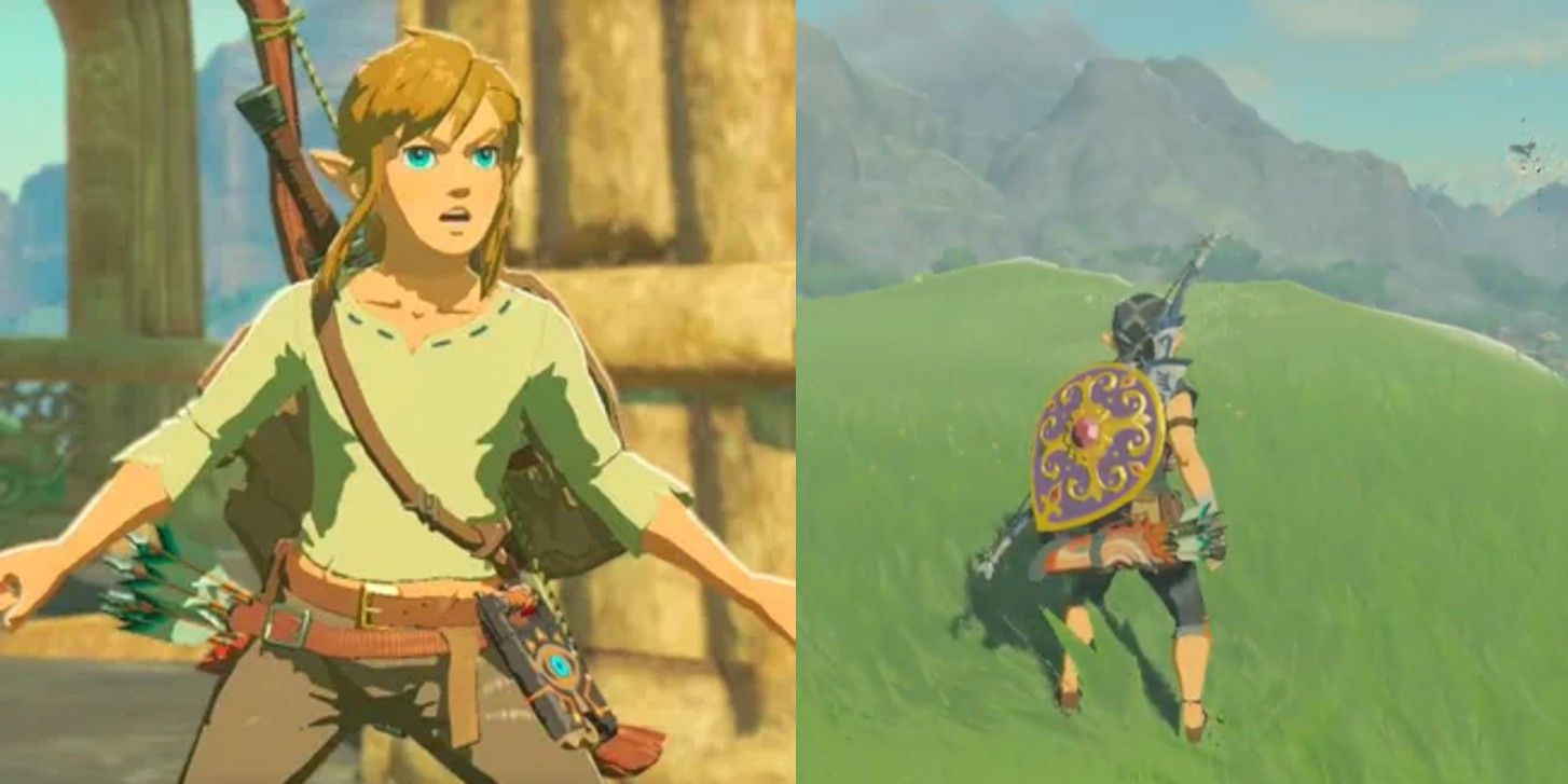 Breath of the Wild Player Accidentally Kills a Bird By Throwing Sword
