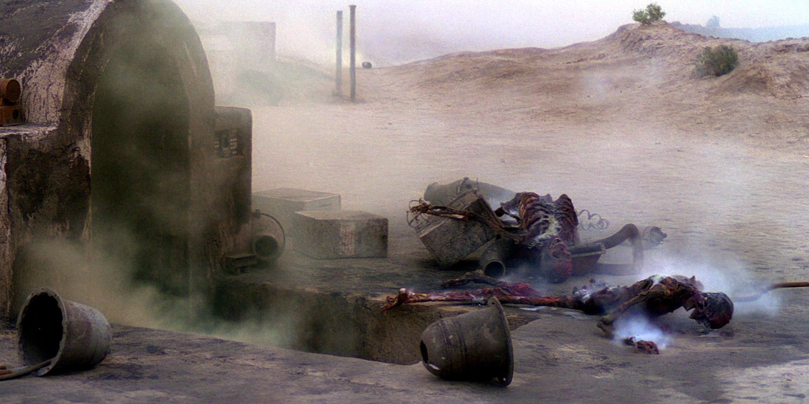 Luke's aunt and uncles bodies burned in Star Wars: A New Hope