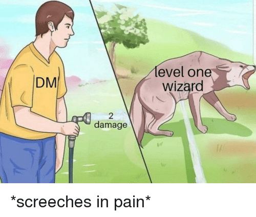 A picture of a man spraying a wolf with a hose. The man is labelled DM, the hose 2 damage, and the wolf level one wizard. The caption reads &lsquo;screeches in pain&rsquo;
