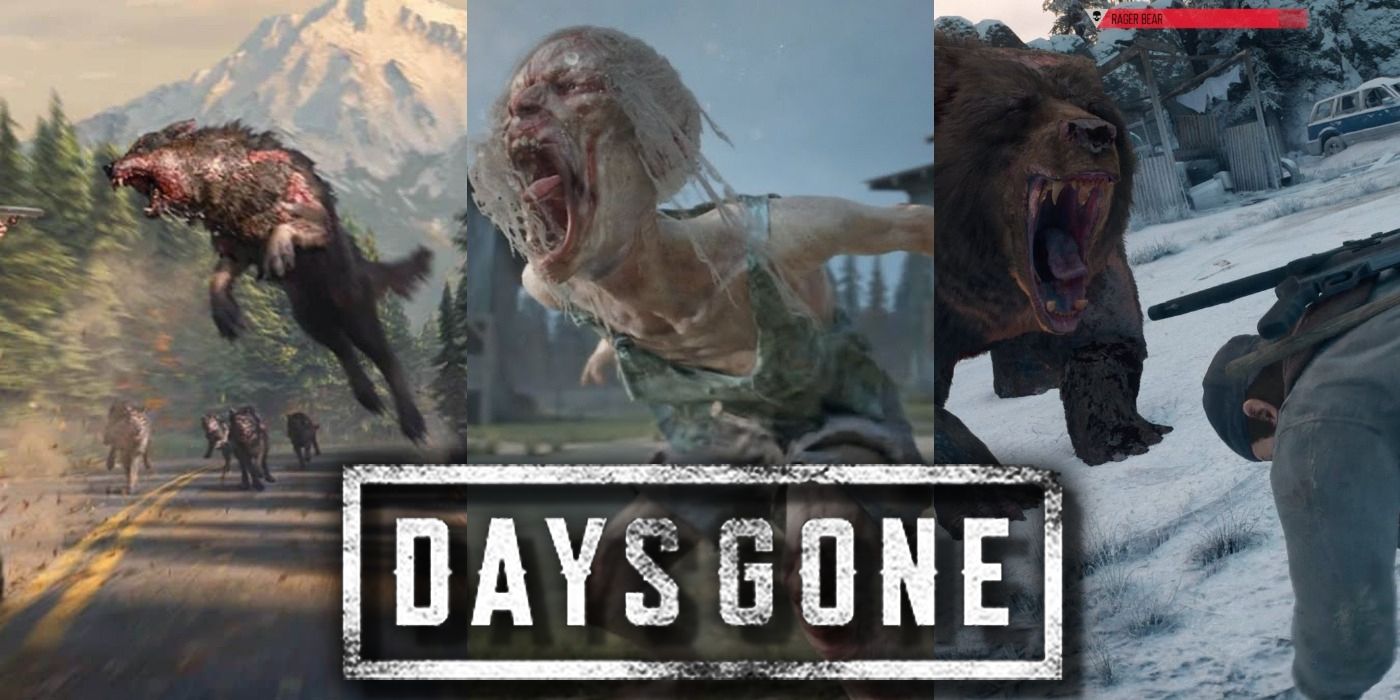 Days Gone shows off zombie wolves and bears in new trailer