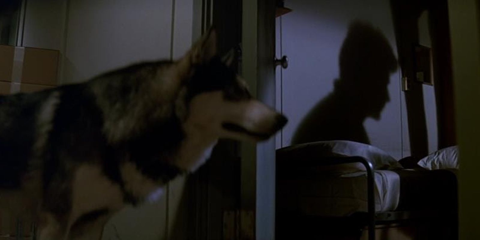 Dog-Thing entering someone's bedroom with a shadow on the wall in John Carpenter's The Thing
