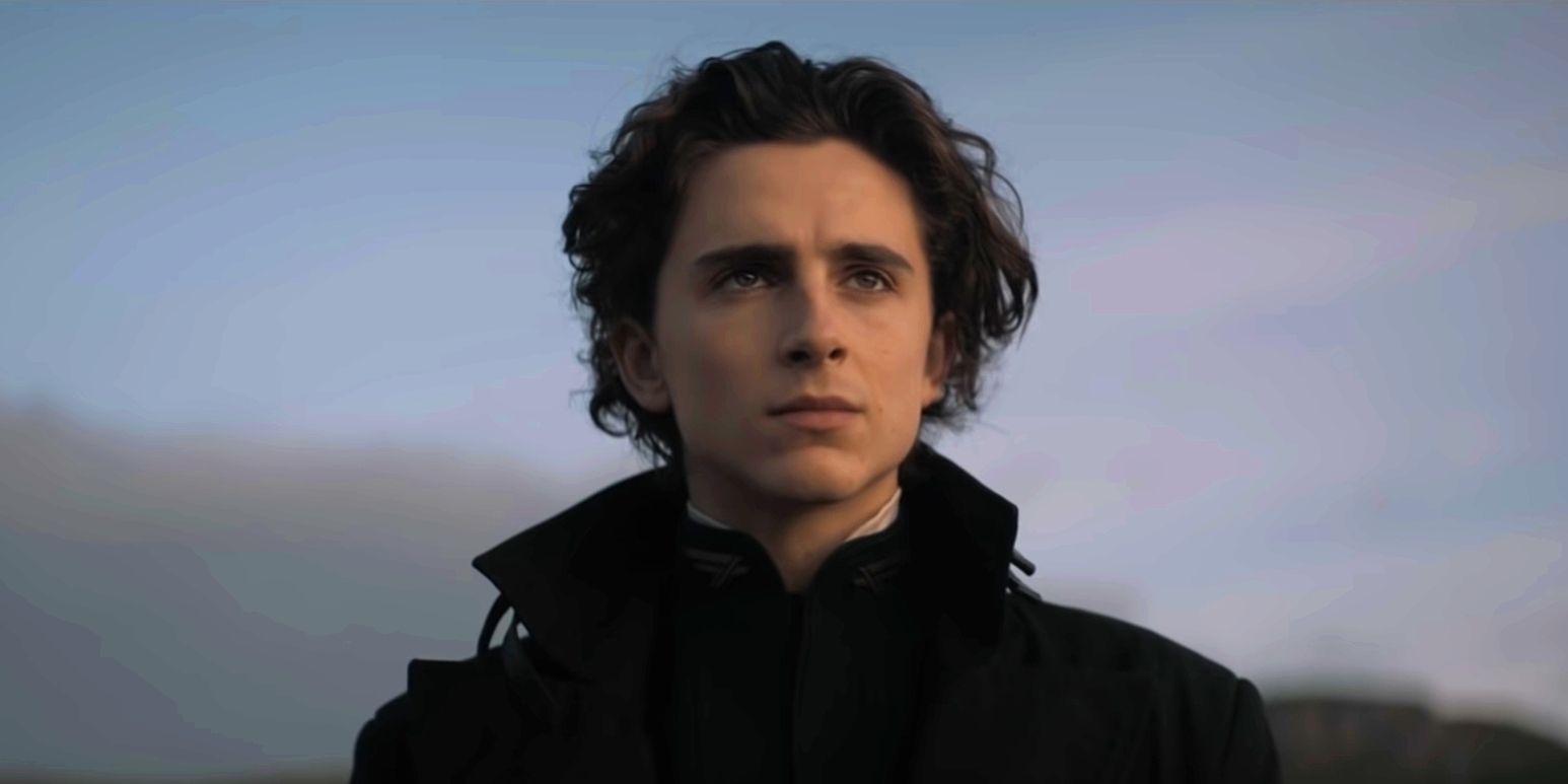 Paul Atreides looks out at the horizon in Dune