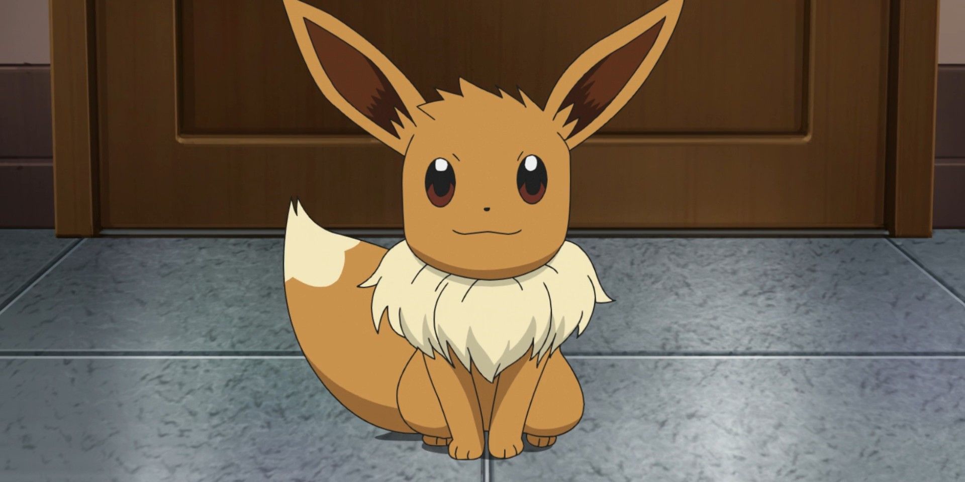 Eevee Sitting on floor in the Pokémon anime
