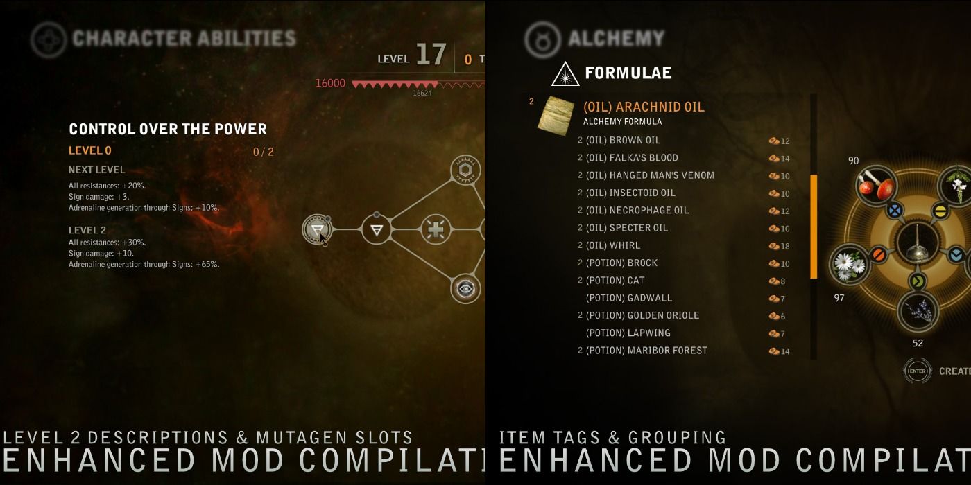 Enhanced Mod screenshots showing skill description and item tags in The Witcher 2