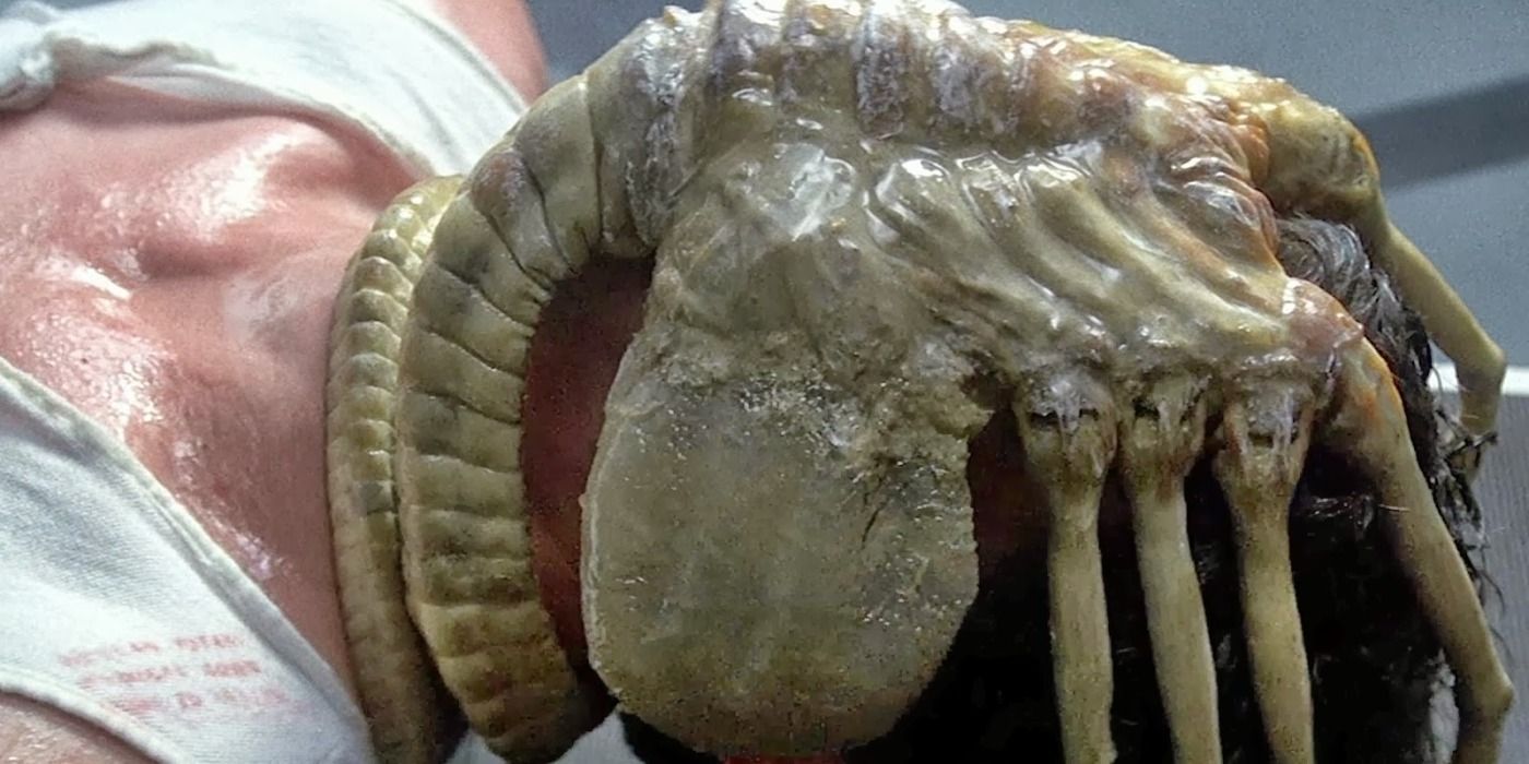 Facehugger in Alien movie, claiming its victim.