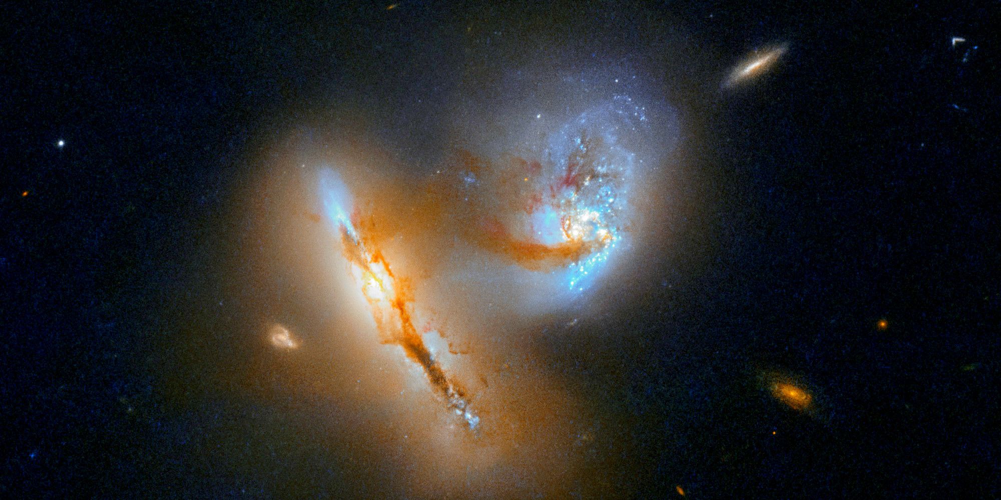 Galactic Creatures at Play