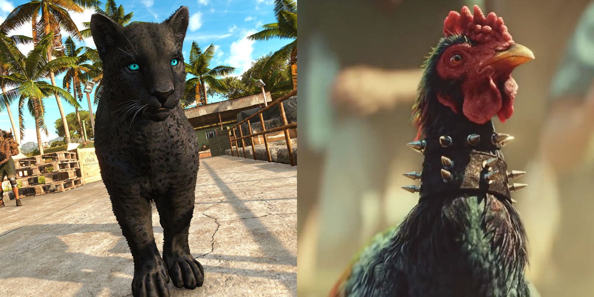 Split image showing Oluso and Chicharrón in Far Cry 6
