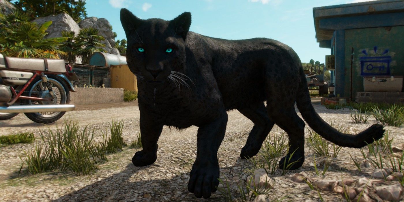 Oluso the panther in Far Cry 6 