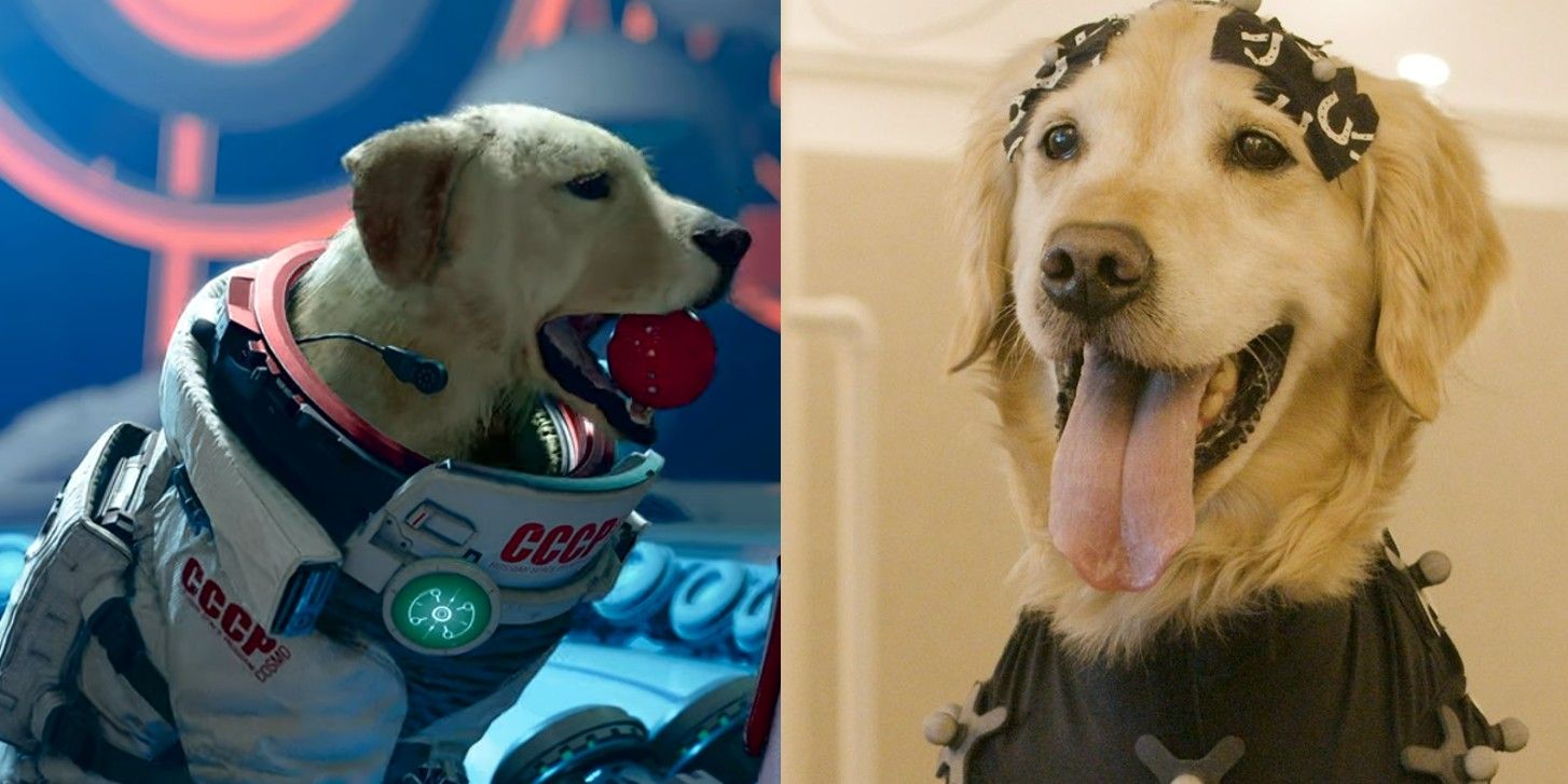 GotG Game Cosmo the Dog's Behind the Scenes Mocap Photos