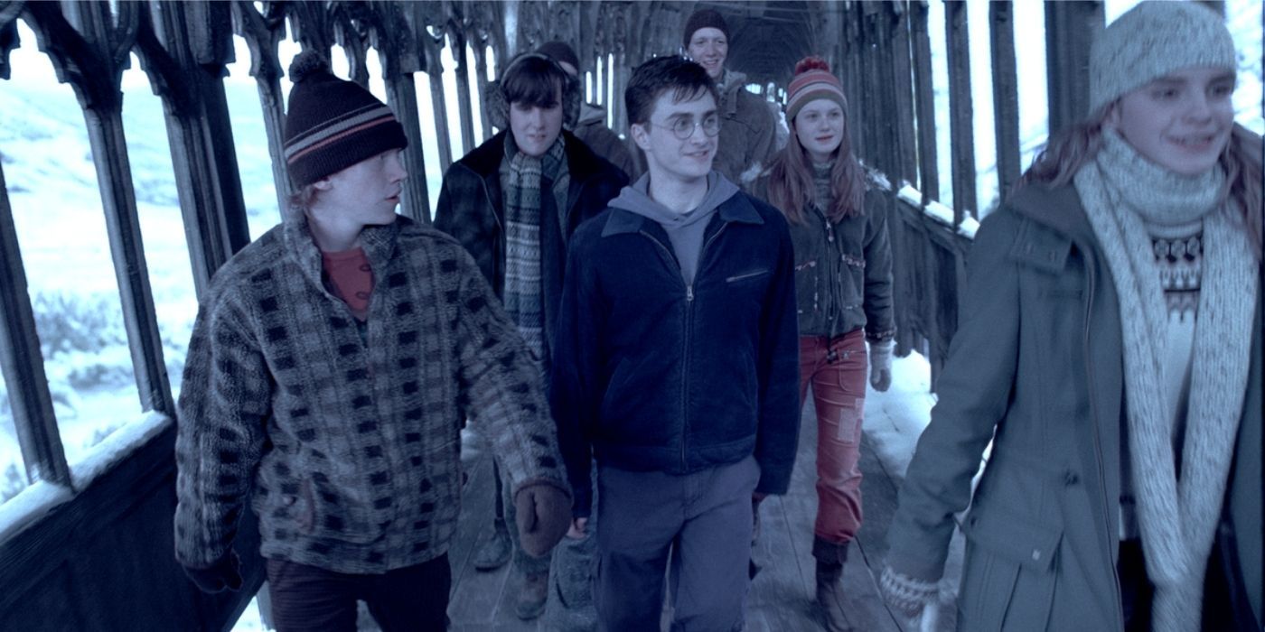 Dumbledore's Army walking together and smiling