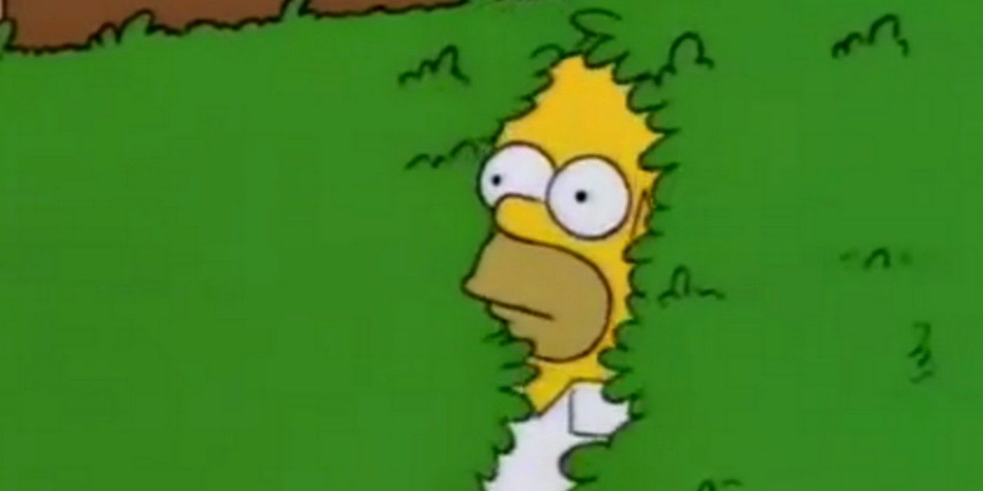 Homer Simpsons Backing Into Bushes Meme