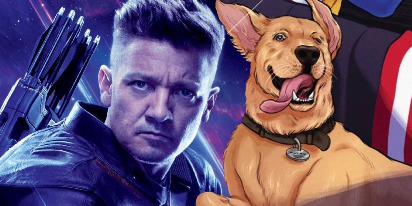 Hawkeye: 10 Things Only Comic Fans Know About Lucky The Pizza Dog