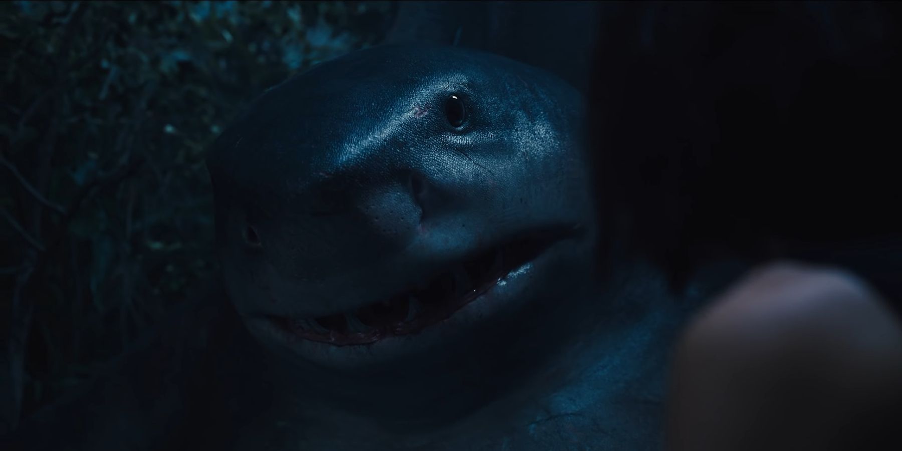 King Shark speaking to Ratcatcher 2 at night in The Suicide Squad