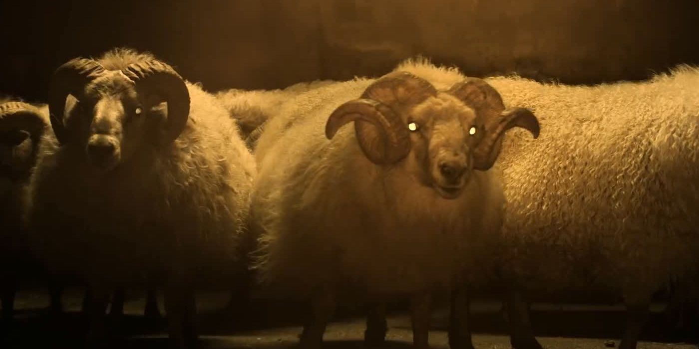 A group of lambs with their eyes glowing in lamb.