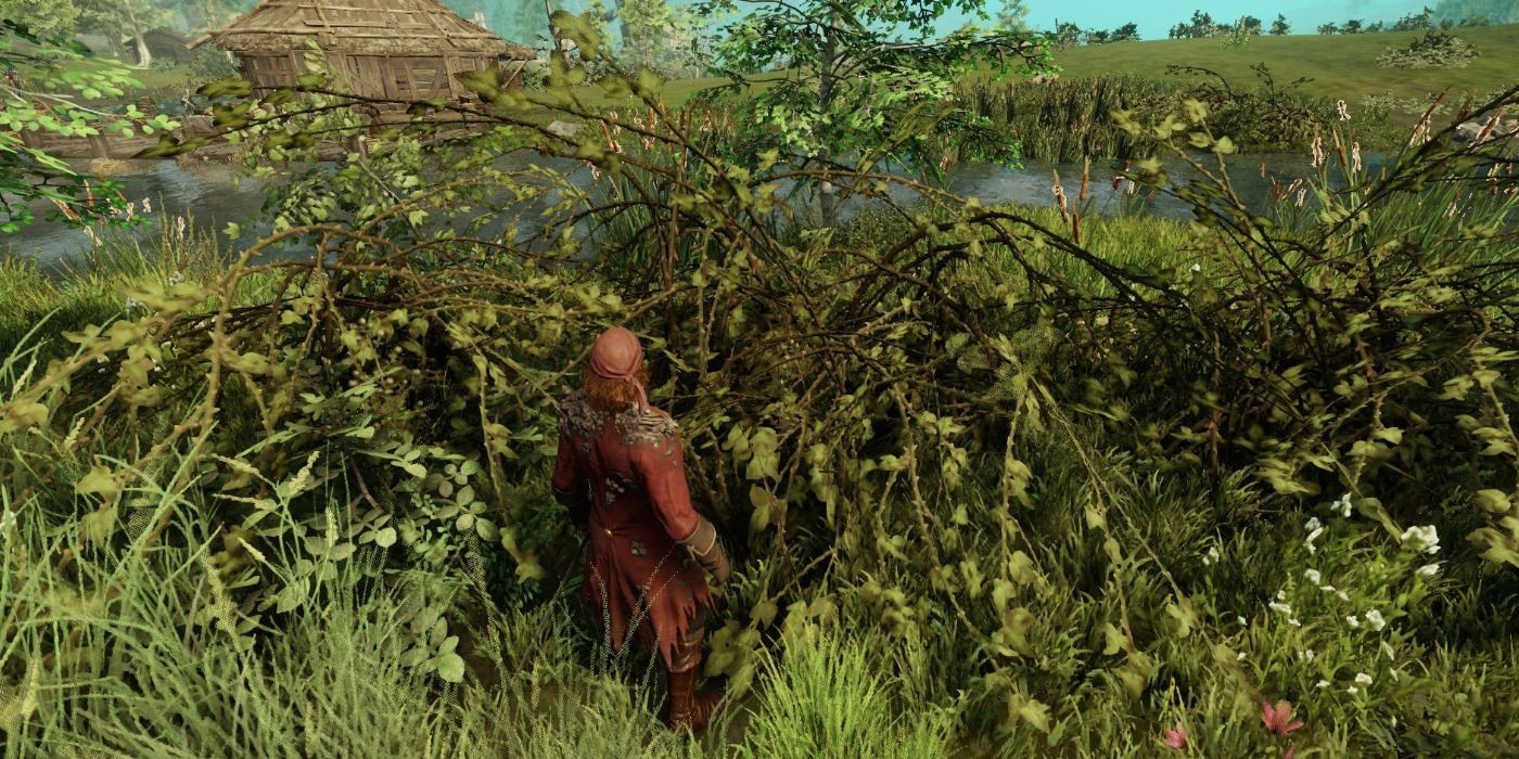 Where to Find Briar Branches in New World (& What They're For)