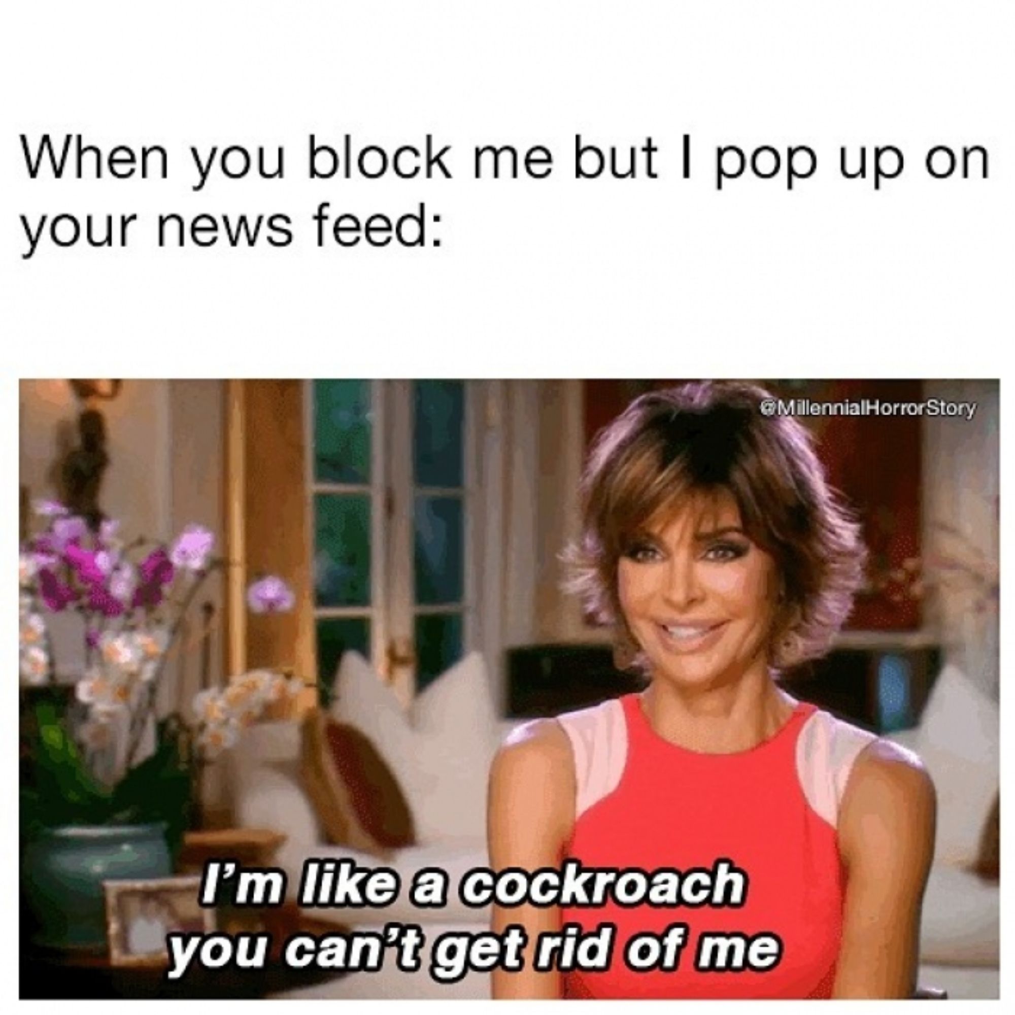 Lisa Rinna meme from RHOBH