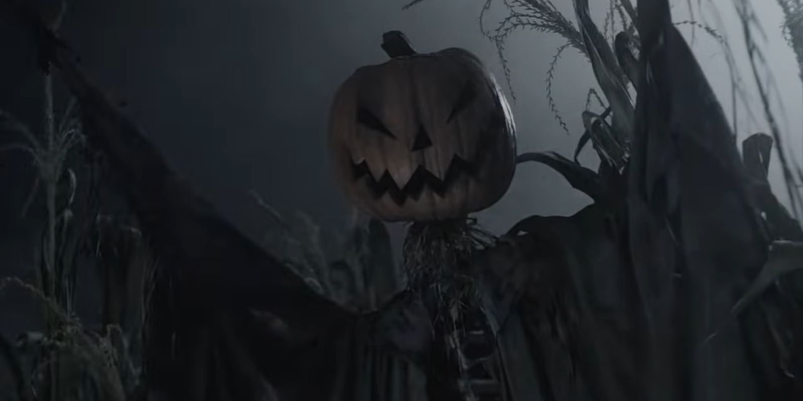Scarecrow in the crops in Tim Burton's Sleepy Hollow