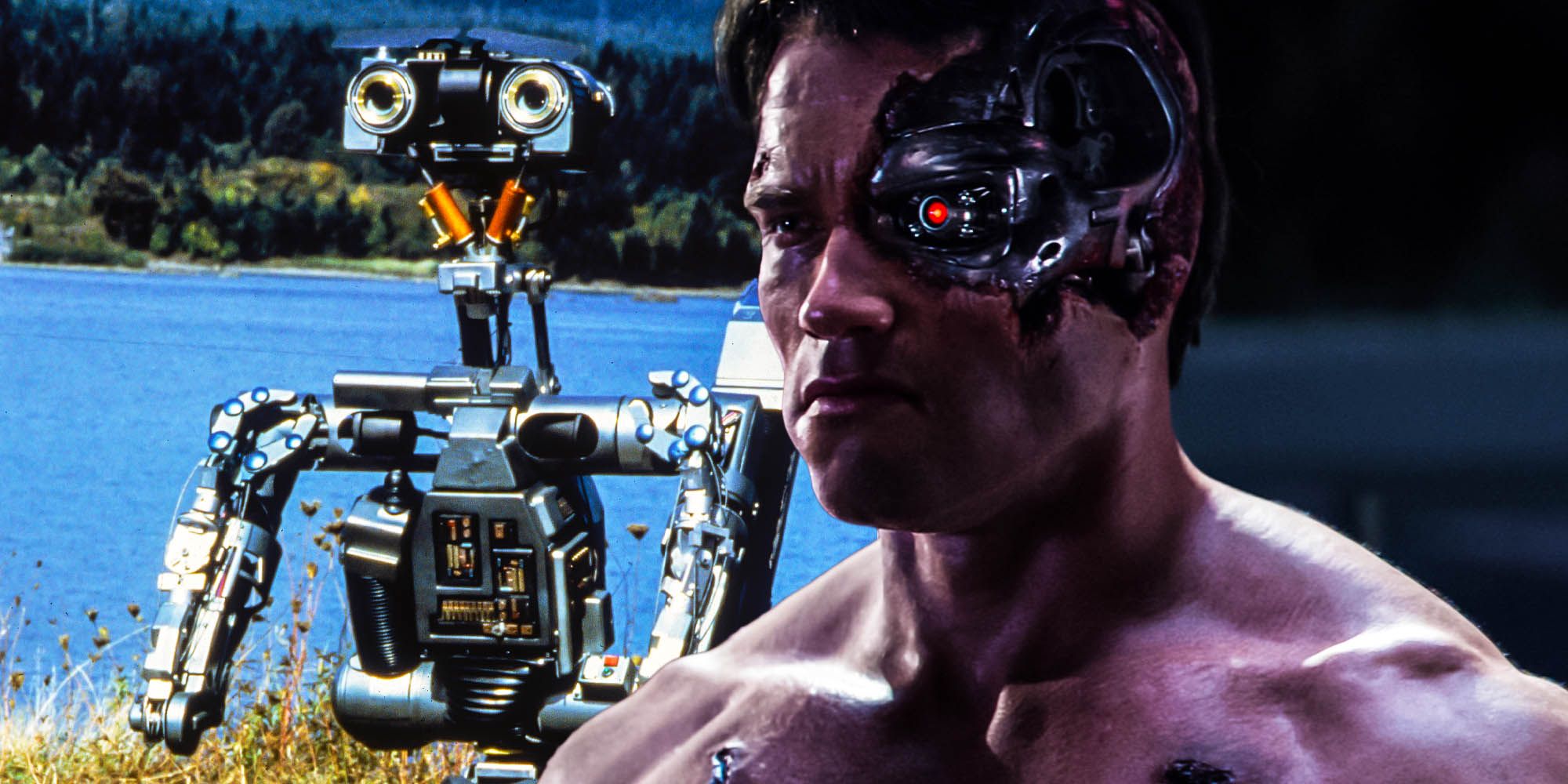 How Short Circuit Could Set Up Terminator — Theory Explained