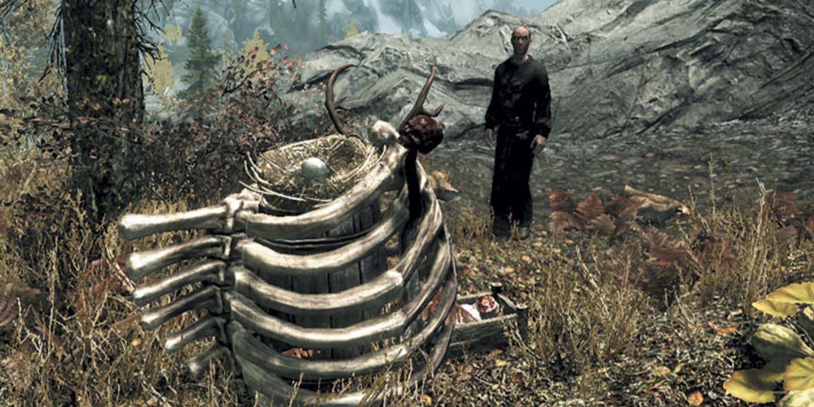 Skyrim’s Weirdest NPCs (& Where To Find Them) Chicken Necromancer