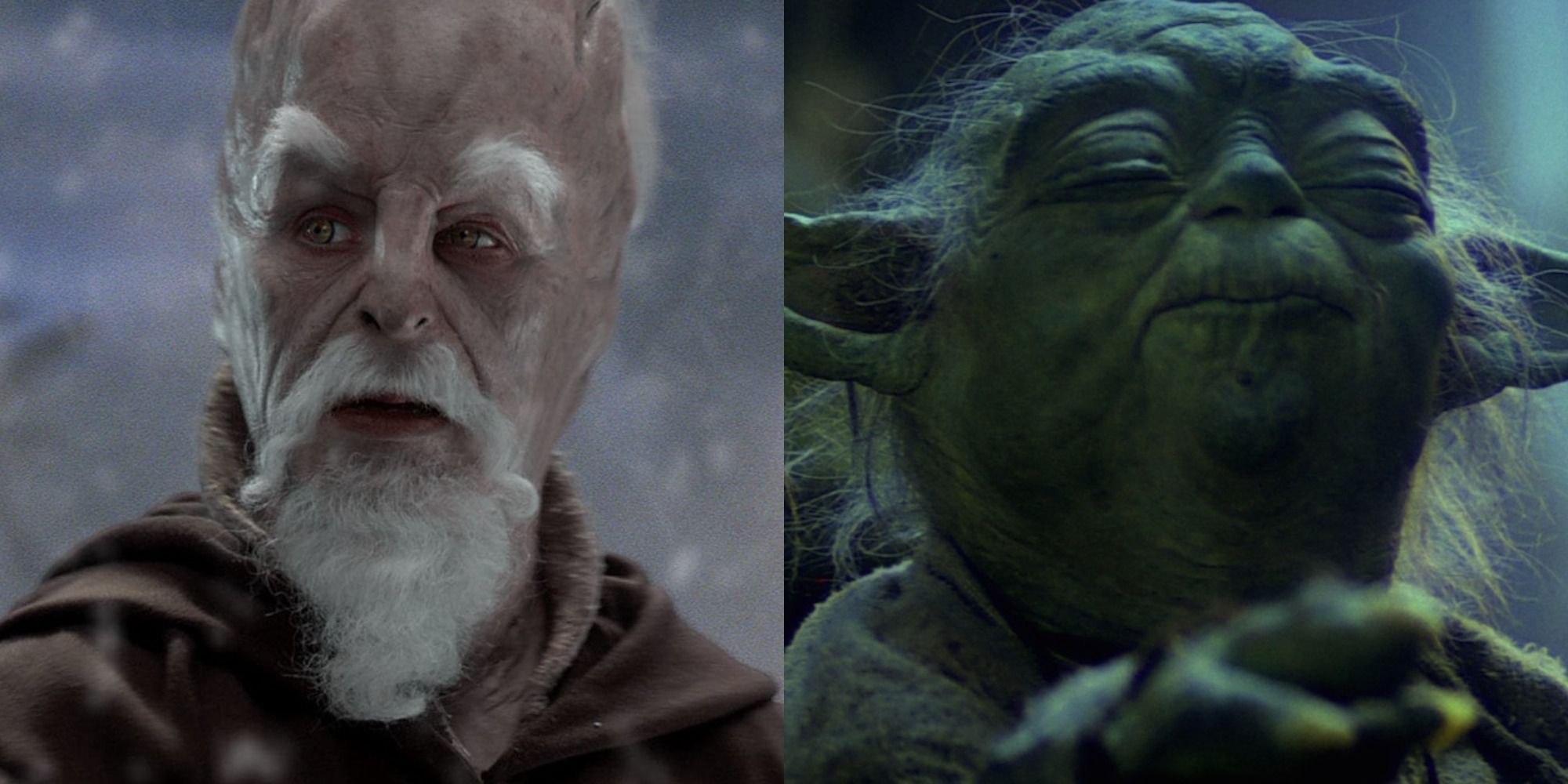 Split image of Jesi Ki-Adi-Mundi and Yoda from Stars Wars movies
