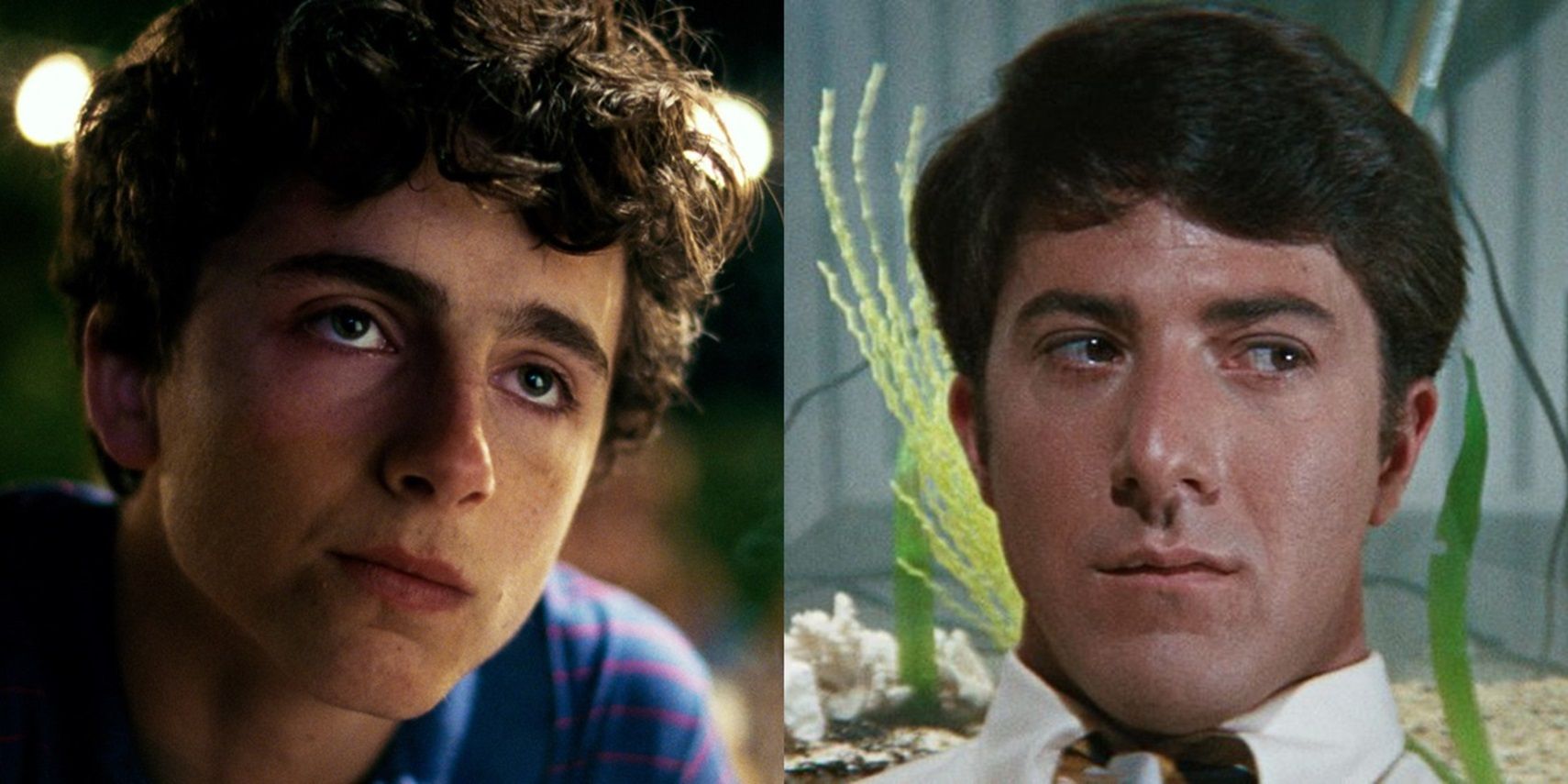 Split image of Timothee Chalamet in Call Me By Your Name and Dustin Hoffman in The Graduate