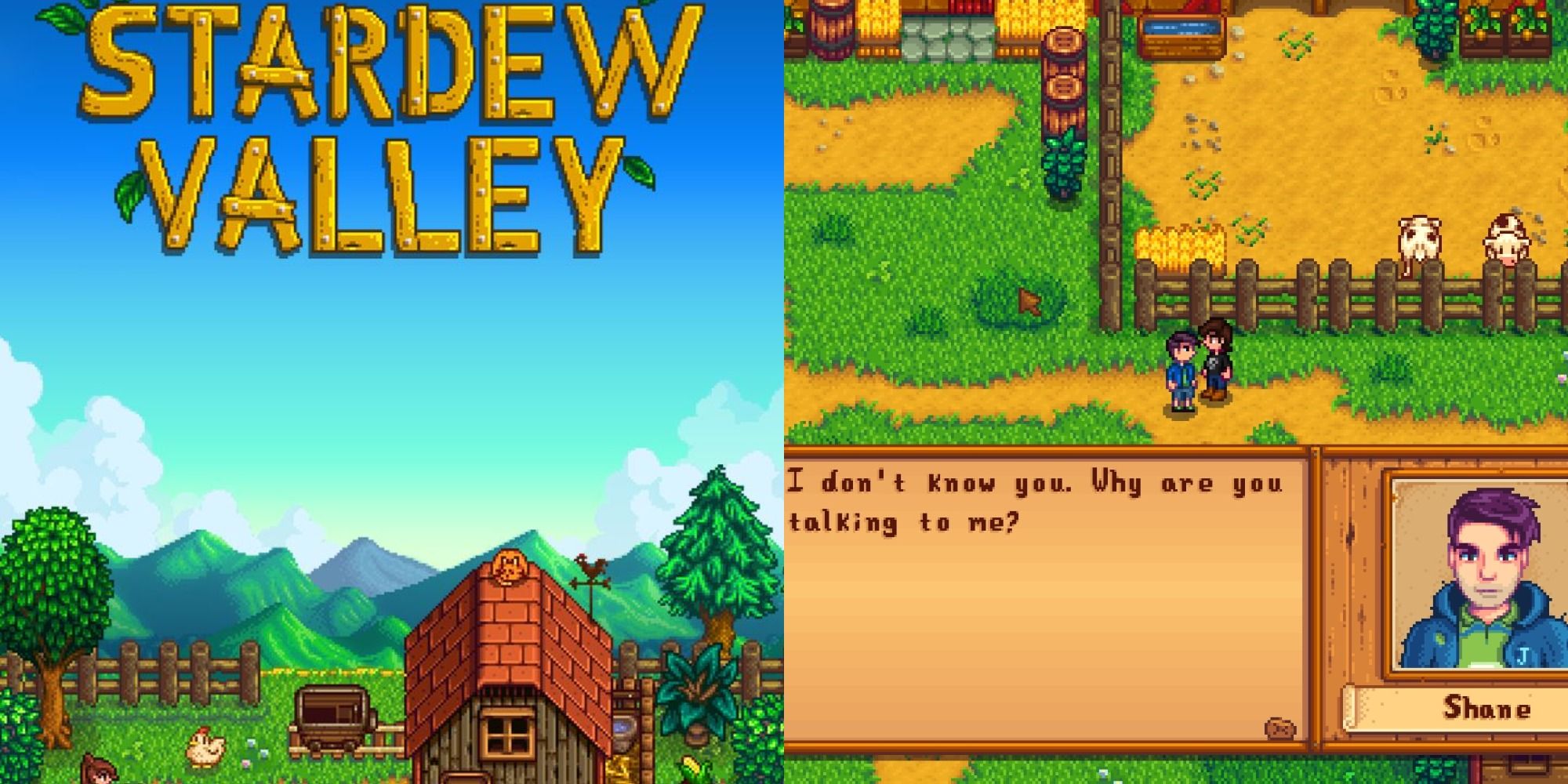 Stardew Valley Cover Shane