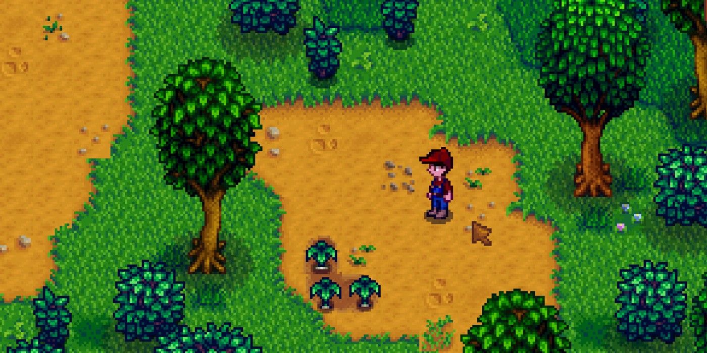 10 Things To Do First In Stardew Valley To Keep From Feeling Overwhelmed