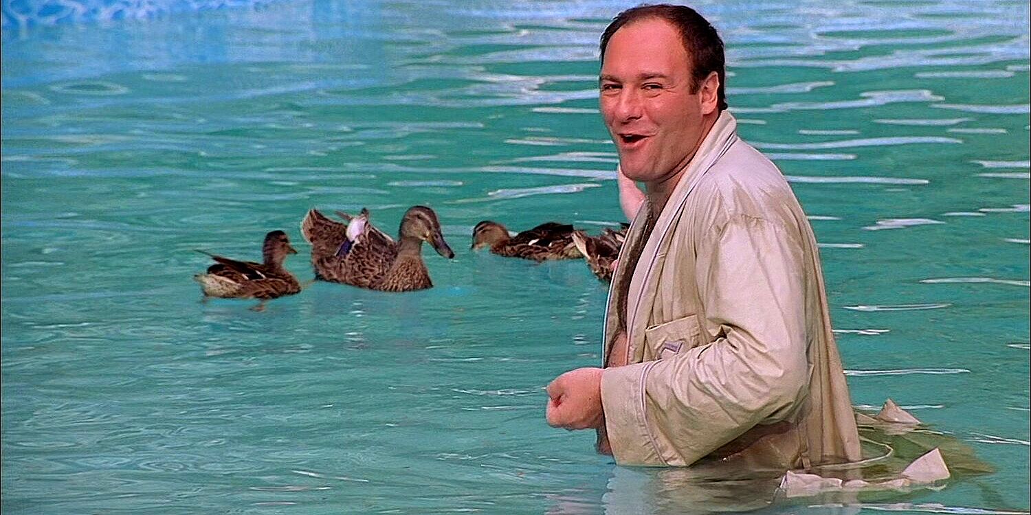 Tony in the pool with the ducks in The Sopranos