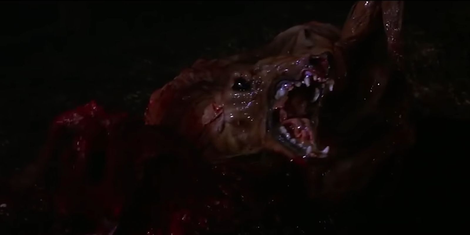 The Thing mutating into a dog monster in John Carpenters The Thing