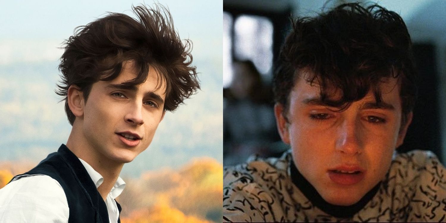 Timothee Chalamet in Call Me By Your Name and Little Women