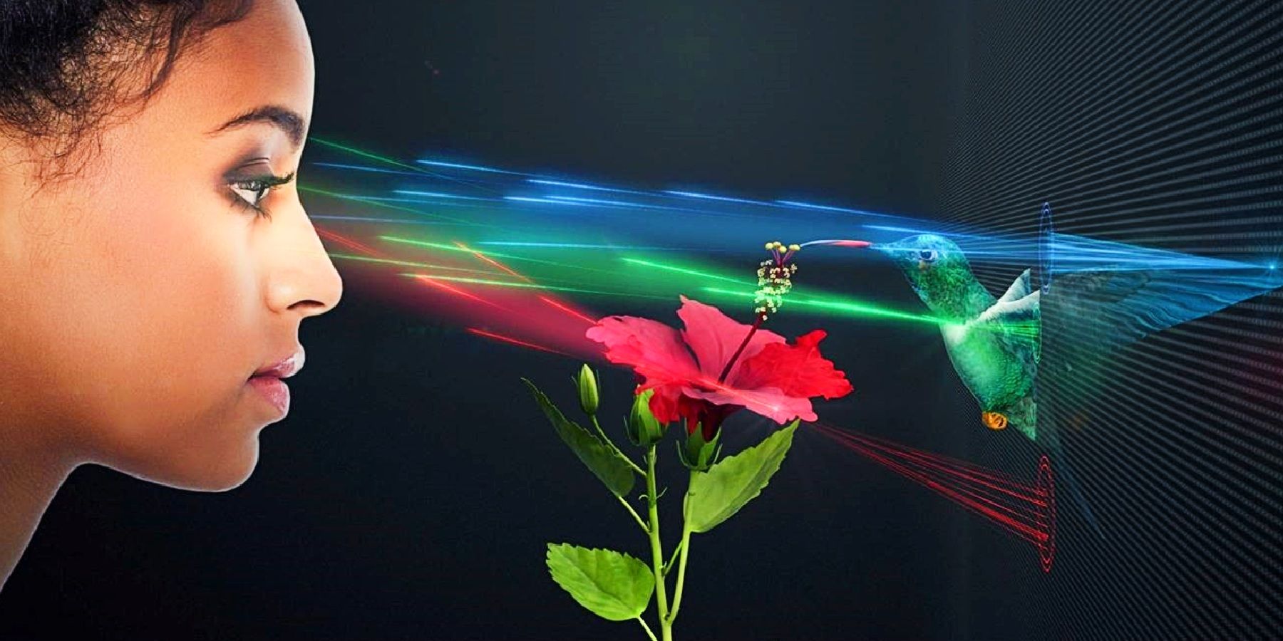 Startup Creates SolidLight First Real Hologram To Conquer All Screens