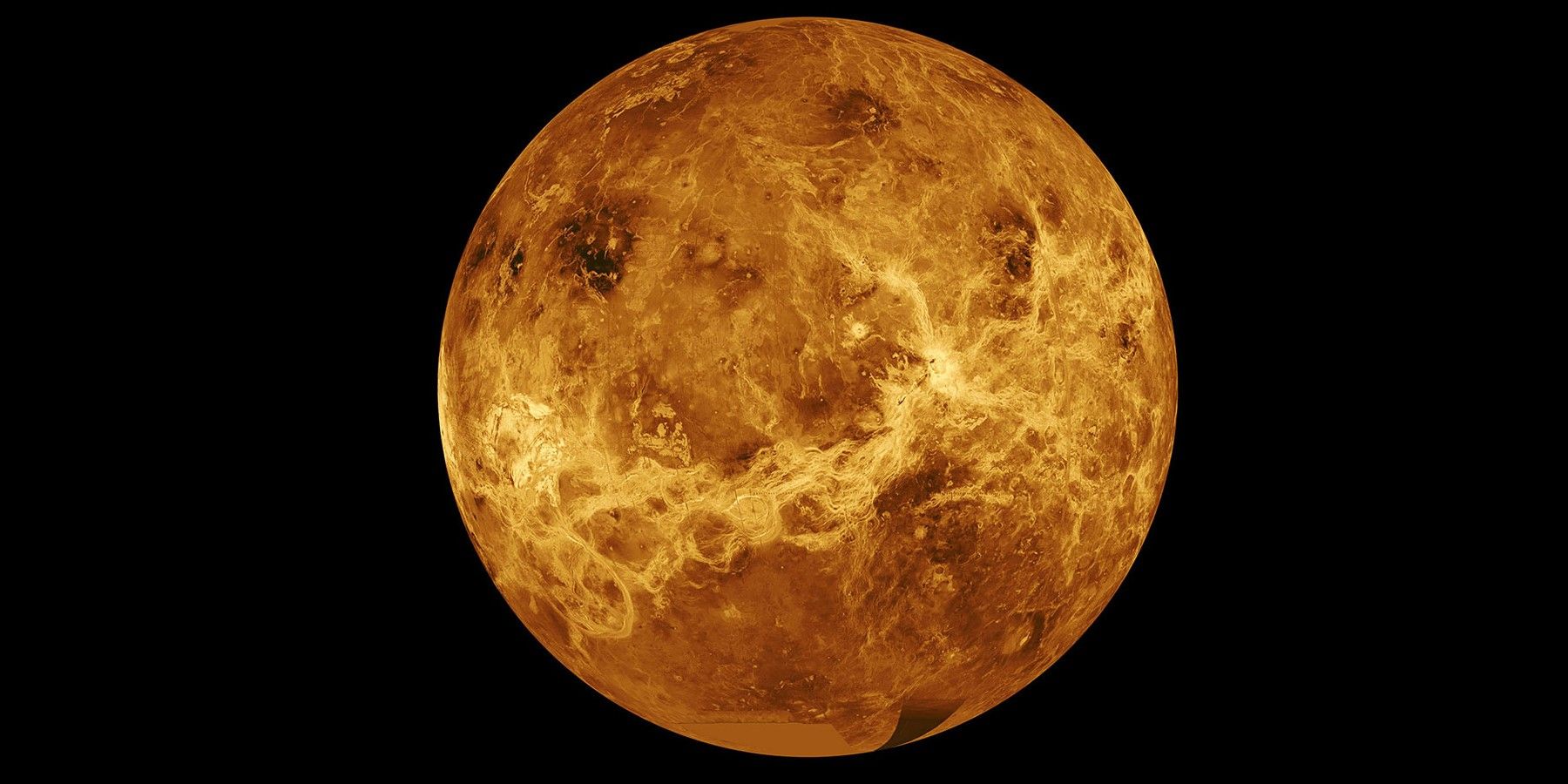 Venus Microbial survival NASA study