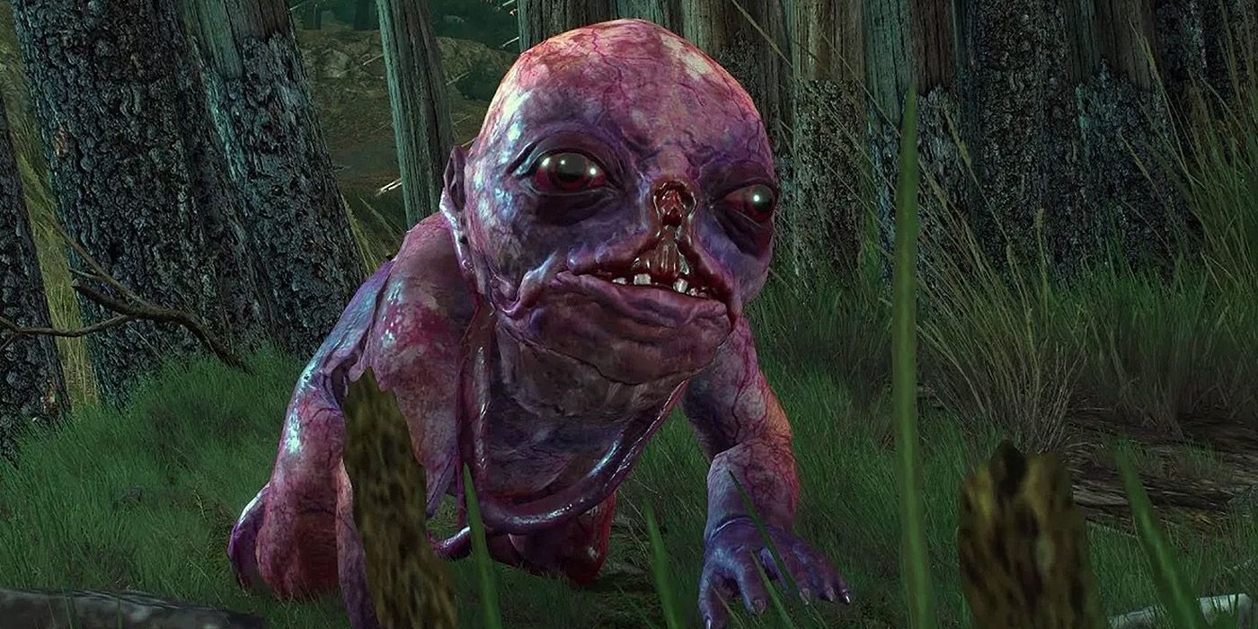 A Botchling before it mutates in The Witcher III