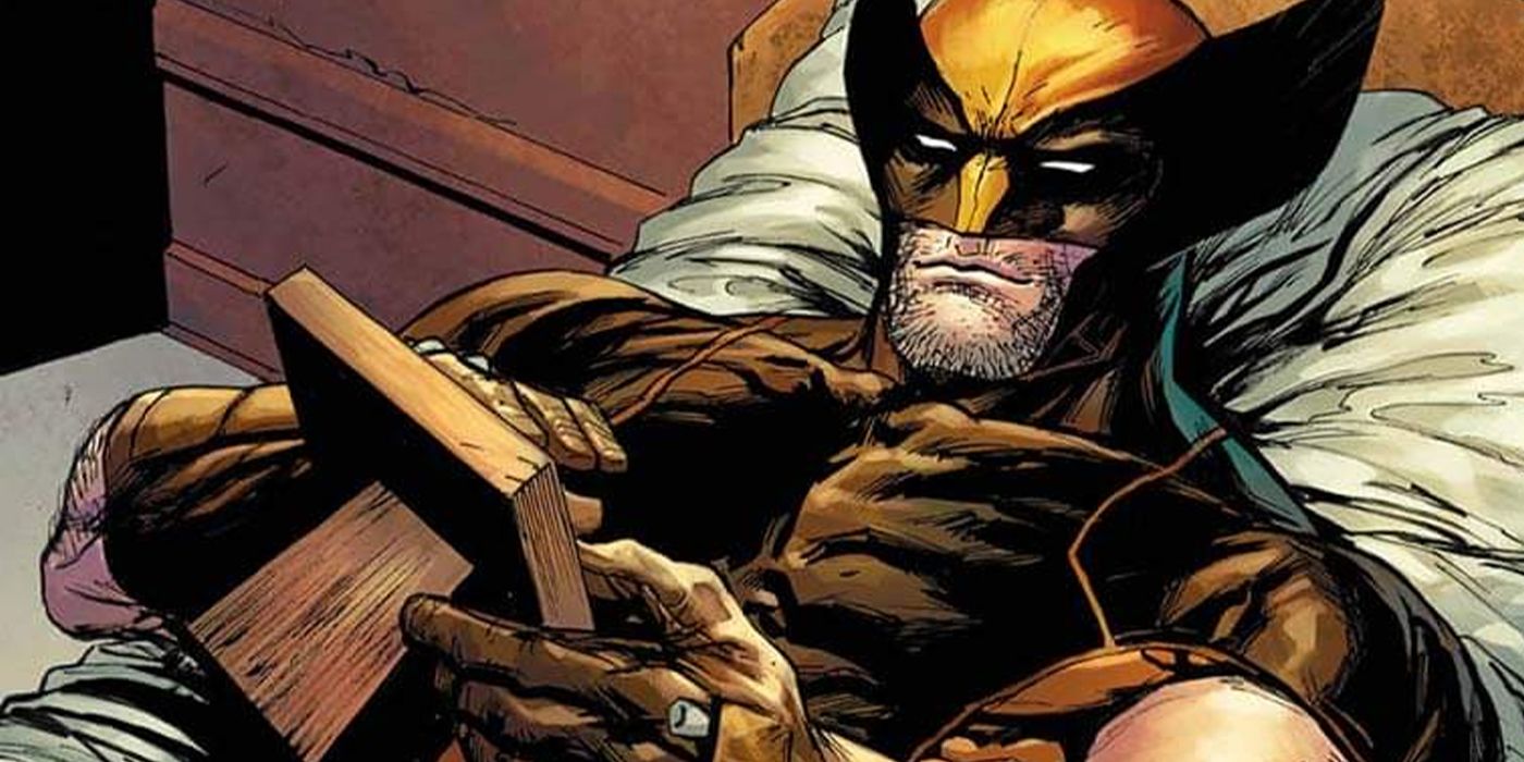 X-Men Animated Series' Best Wolverine Meme Has Hilarious Cover