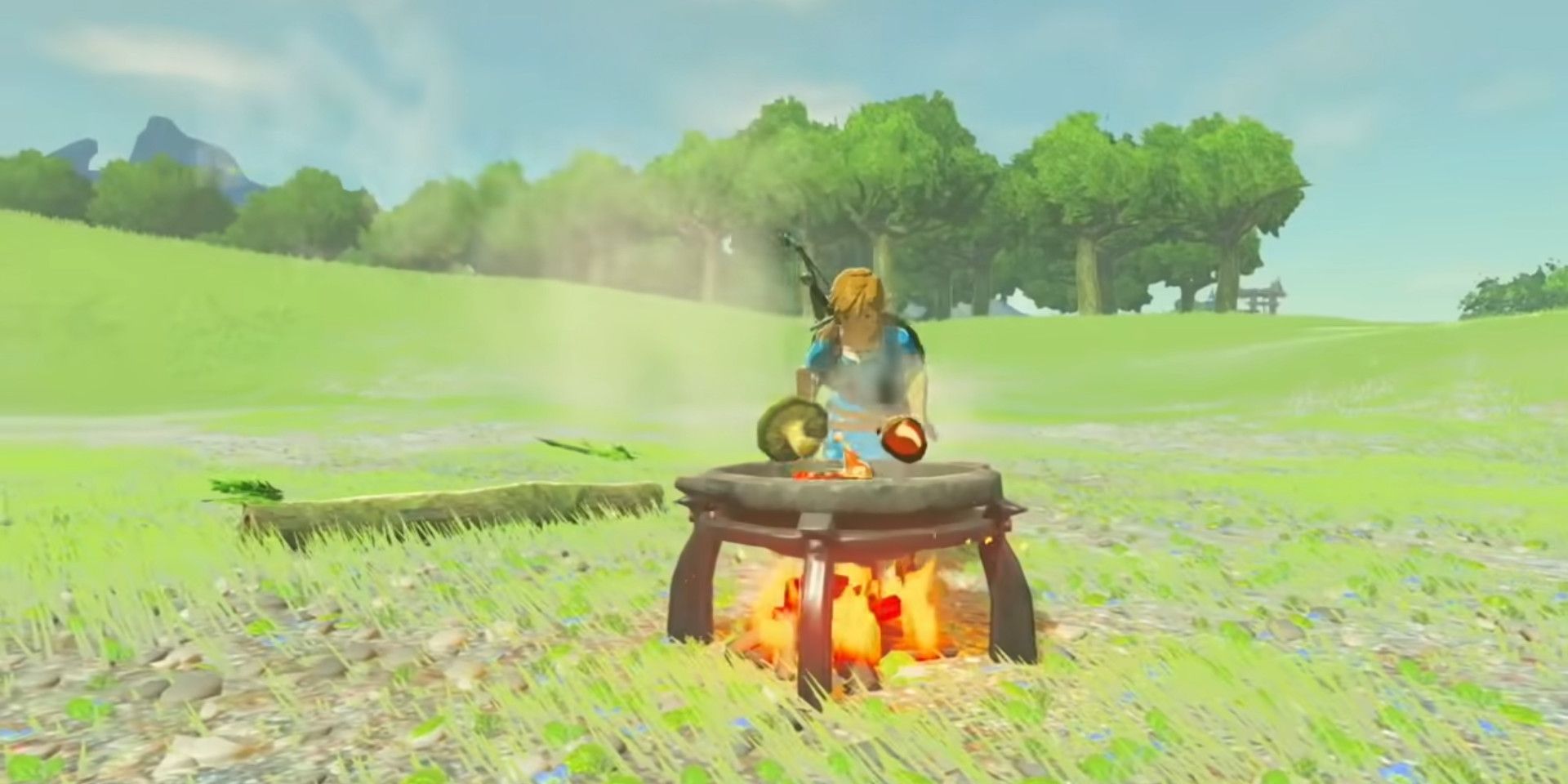 Zelda Breath of the Wild link cooks outside in a grassy field