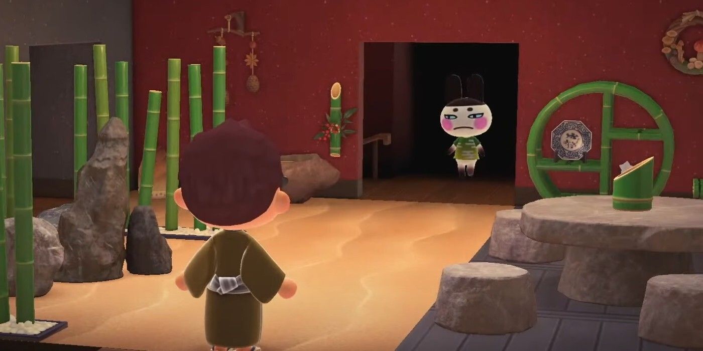 Animal Crossing Direct Update Visiting Villagers