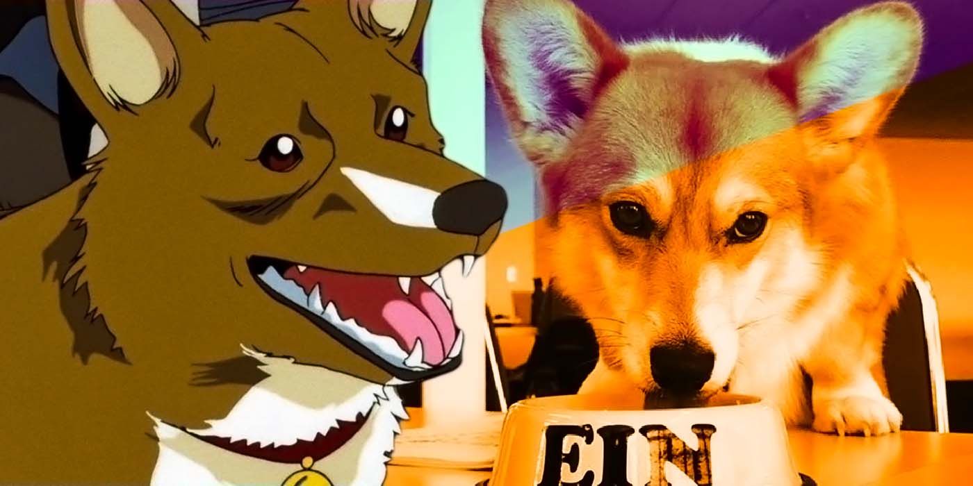 Let South Korea's 'Doggie Corgi' Soothe You: ASMR Animation Might Be The  Next Big Thing