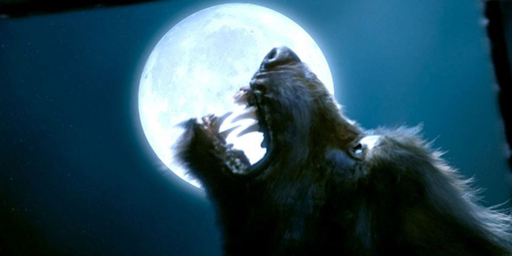 The Werewolf howls at the moon