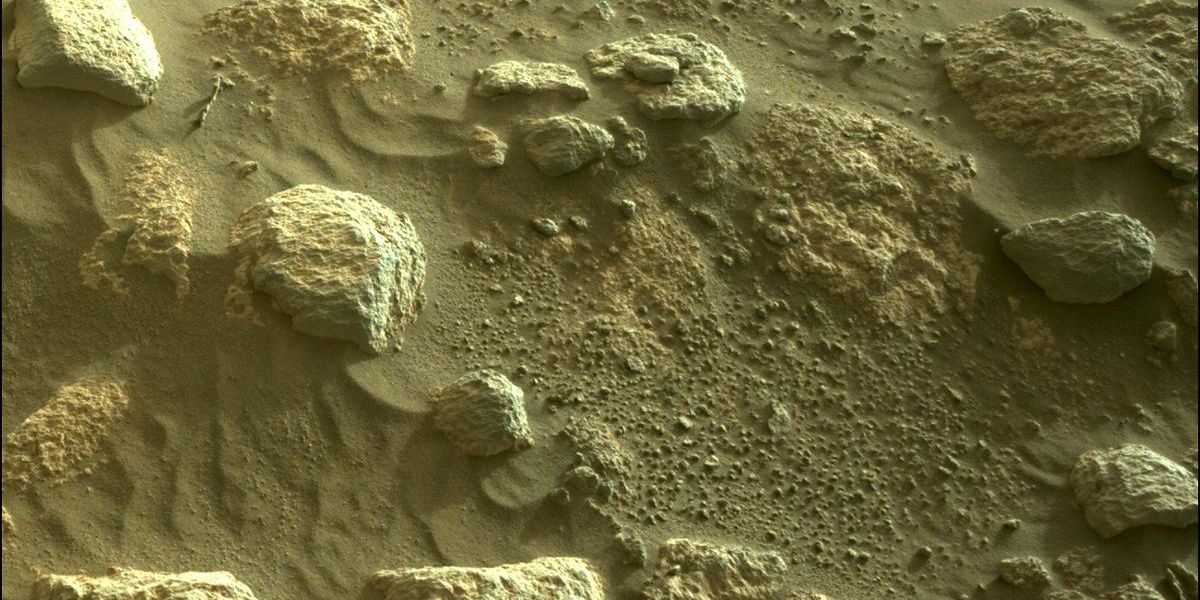 New Perseverance Photo Reveals Martian Rocks In Incredible Detail