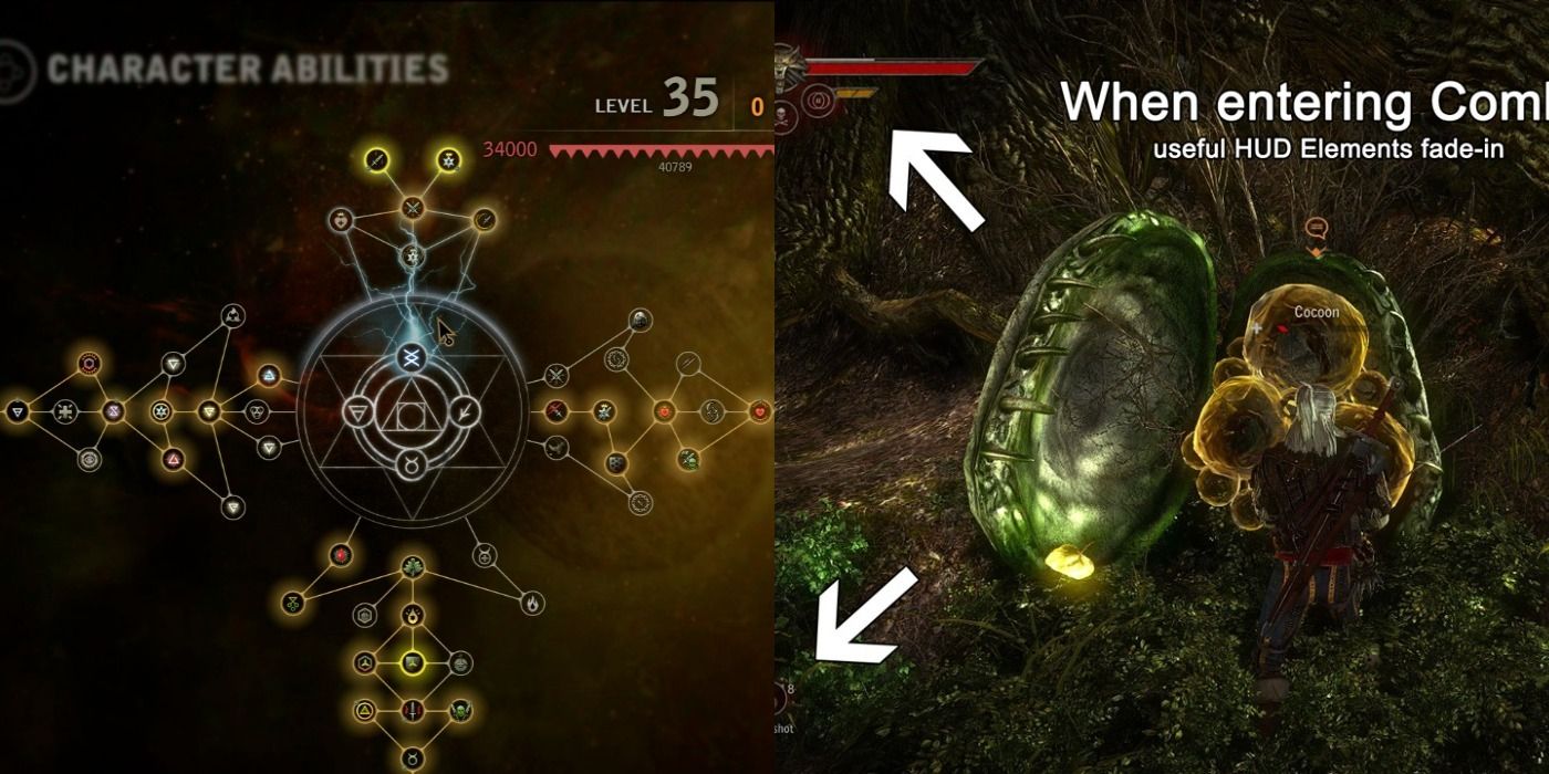 Split image of mods for The Witcher 2