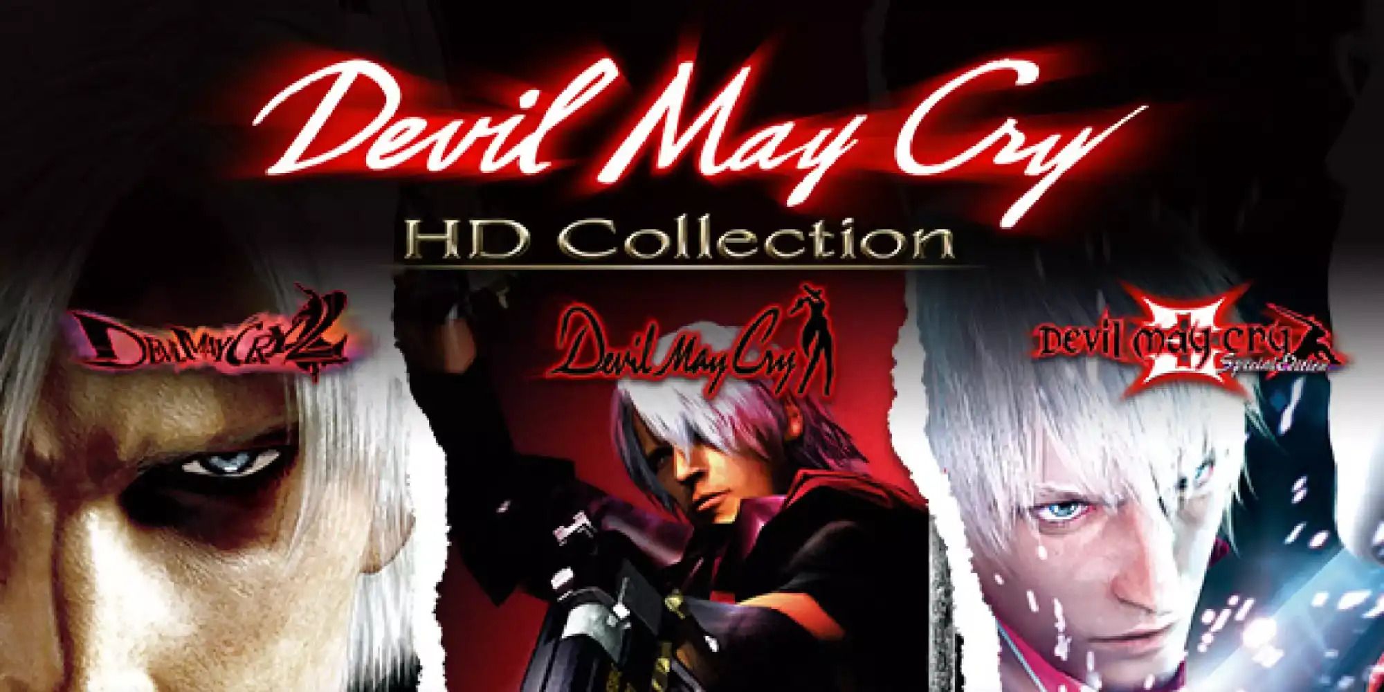 poster of Devil May Cry HD Collection featuring the main character Dante