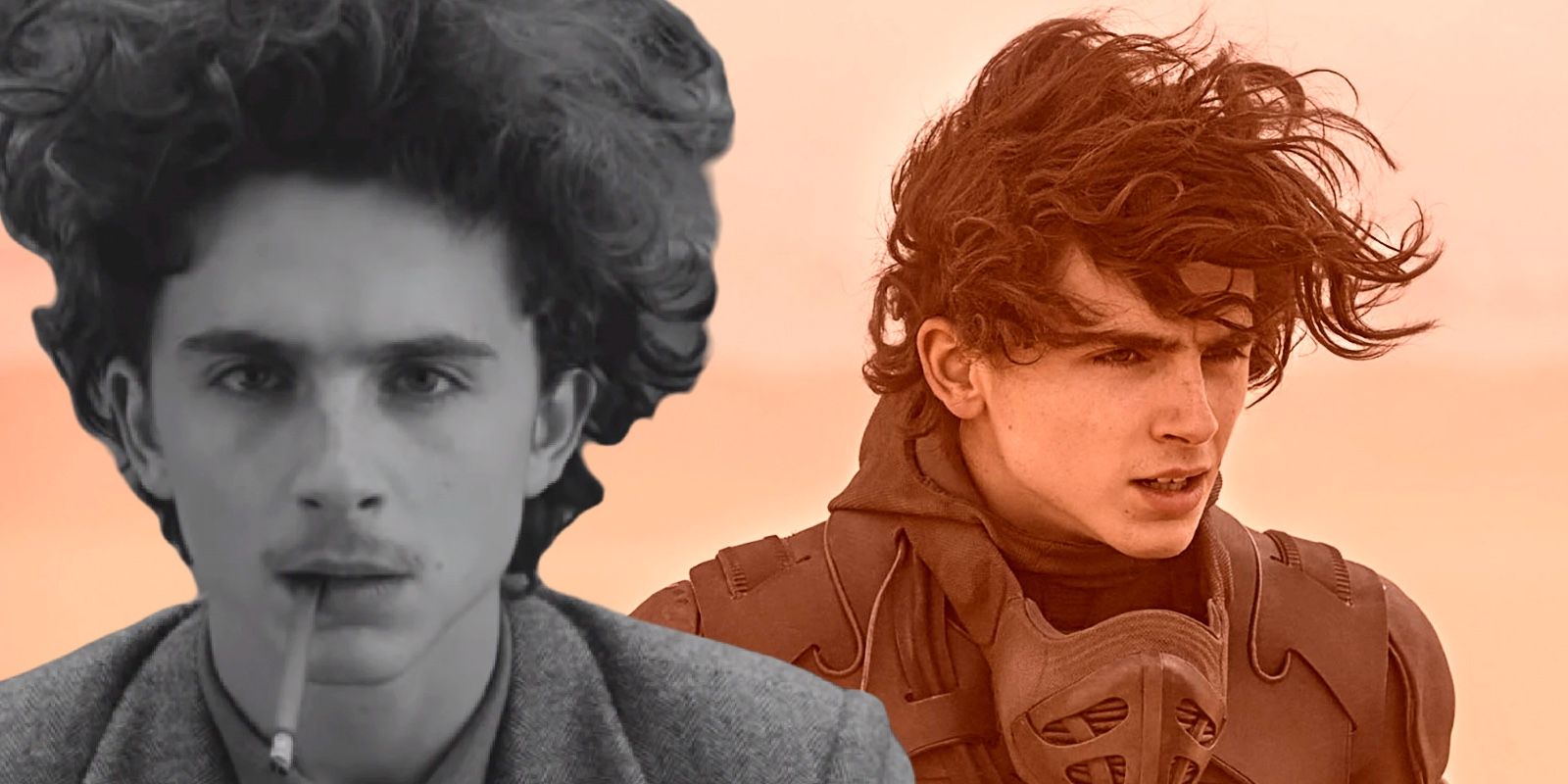 This Weekend Proved Timothée Chalamet Is Box Office Gold