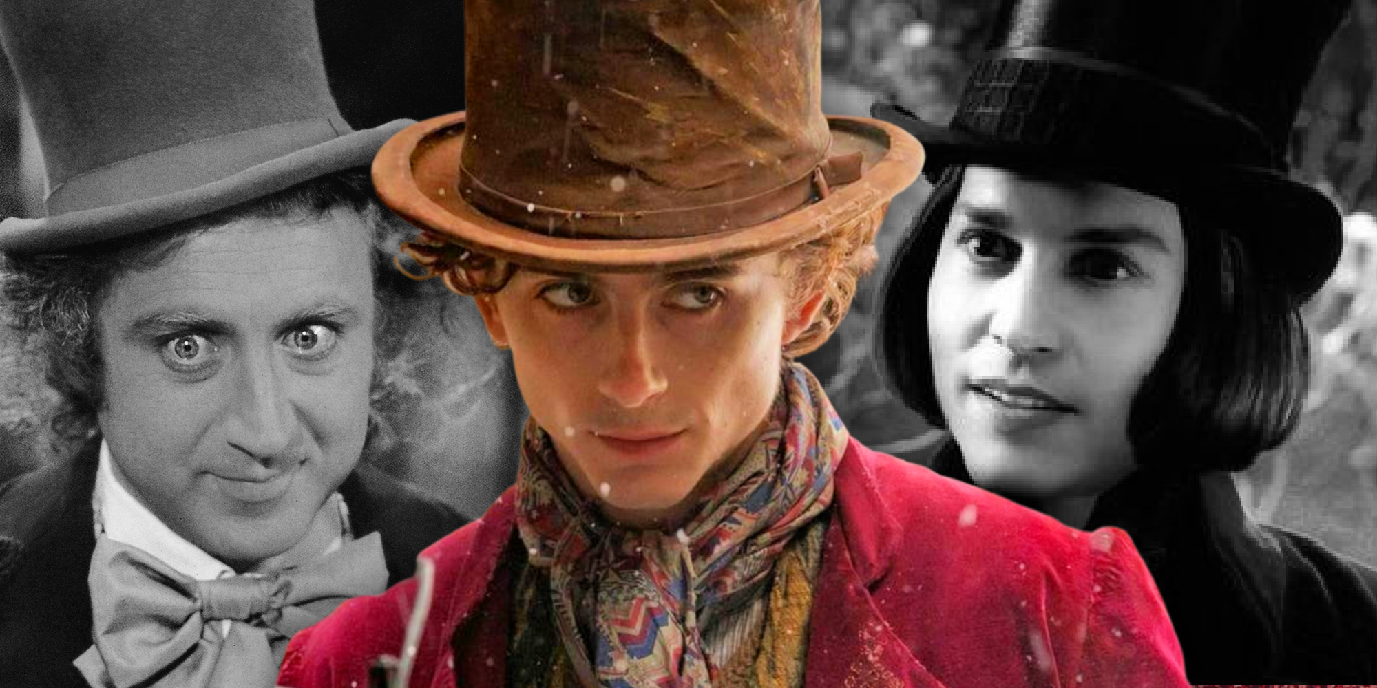 timothee chalamet wonka