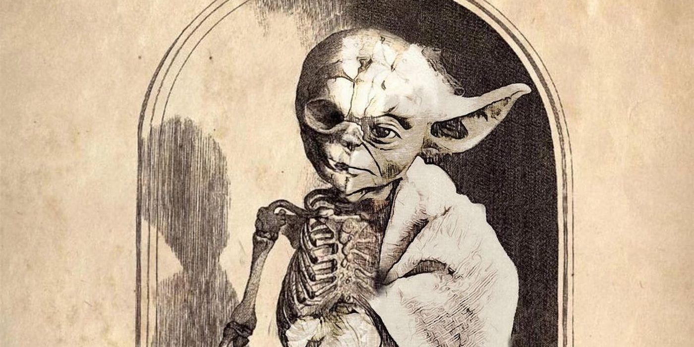 Star Wars Art Shows What Yoda’s Anatomy Might Look Like