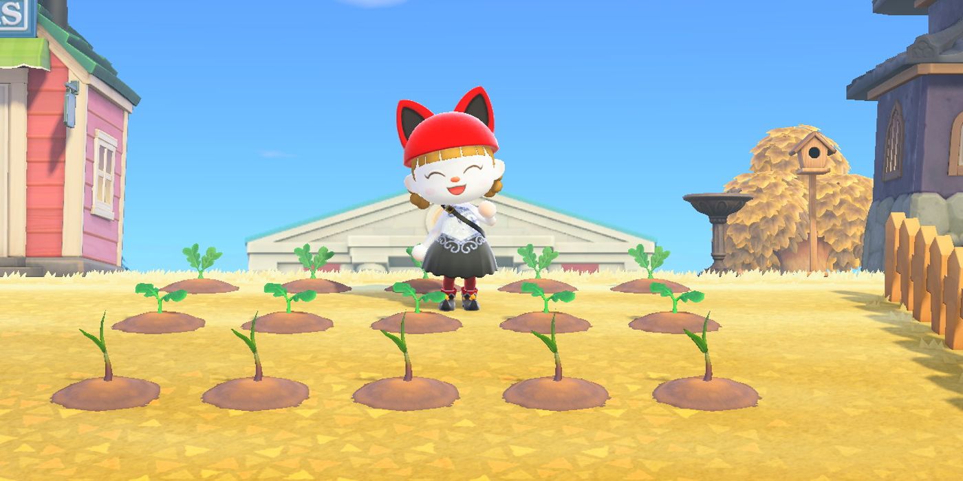 Animal Crossing How to Grow More Vegetables