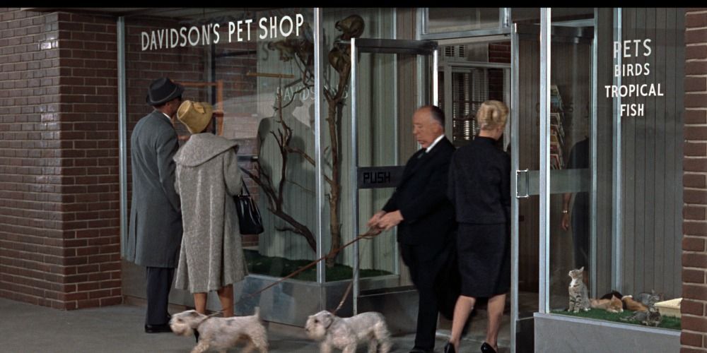 Alfred Hitchcock walking out of a pet store in The Birds